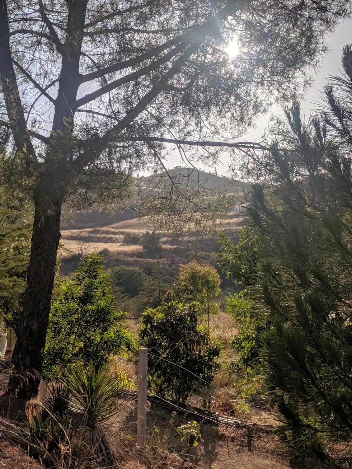 Quinta Shangri-La Silves Dış mekan fotoğraf